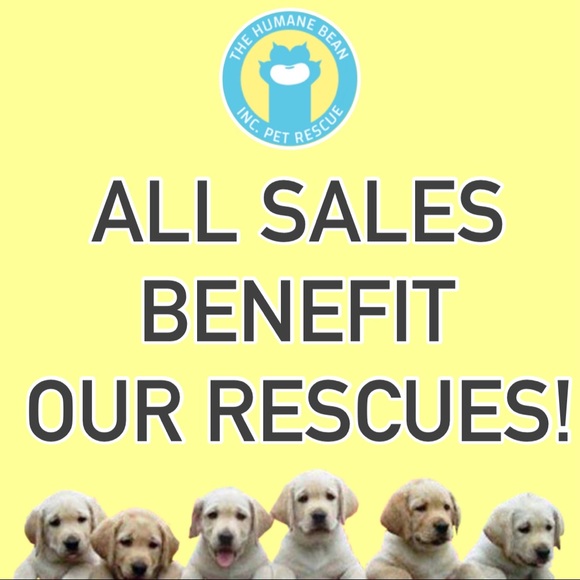 🐶🐱Welcome!🐱🐰 - Picture 6 of 6